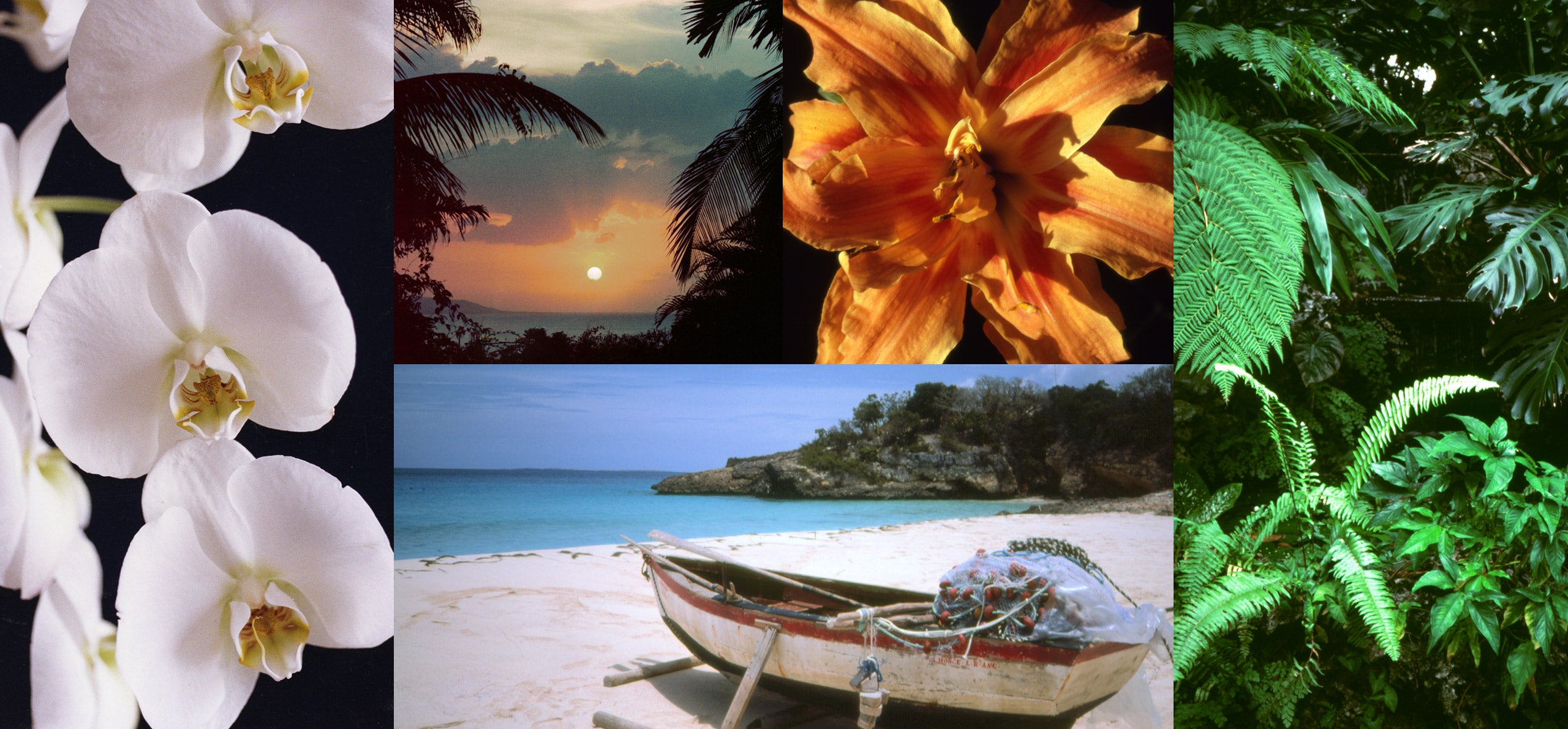                             Sélections du livre de Ricky Lauren paru en 1994, <em>My Island</em>