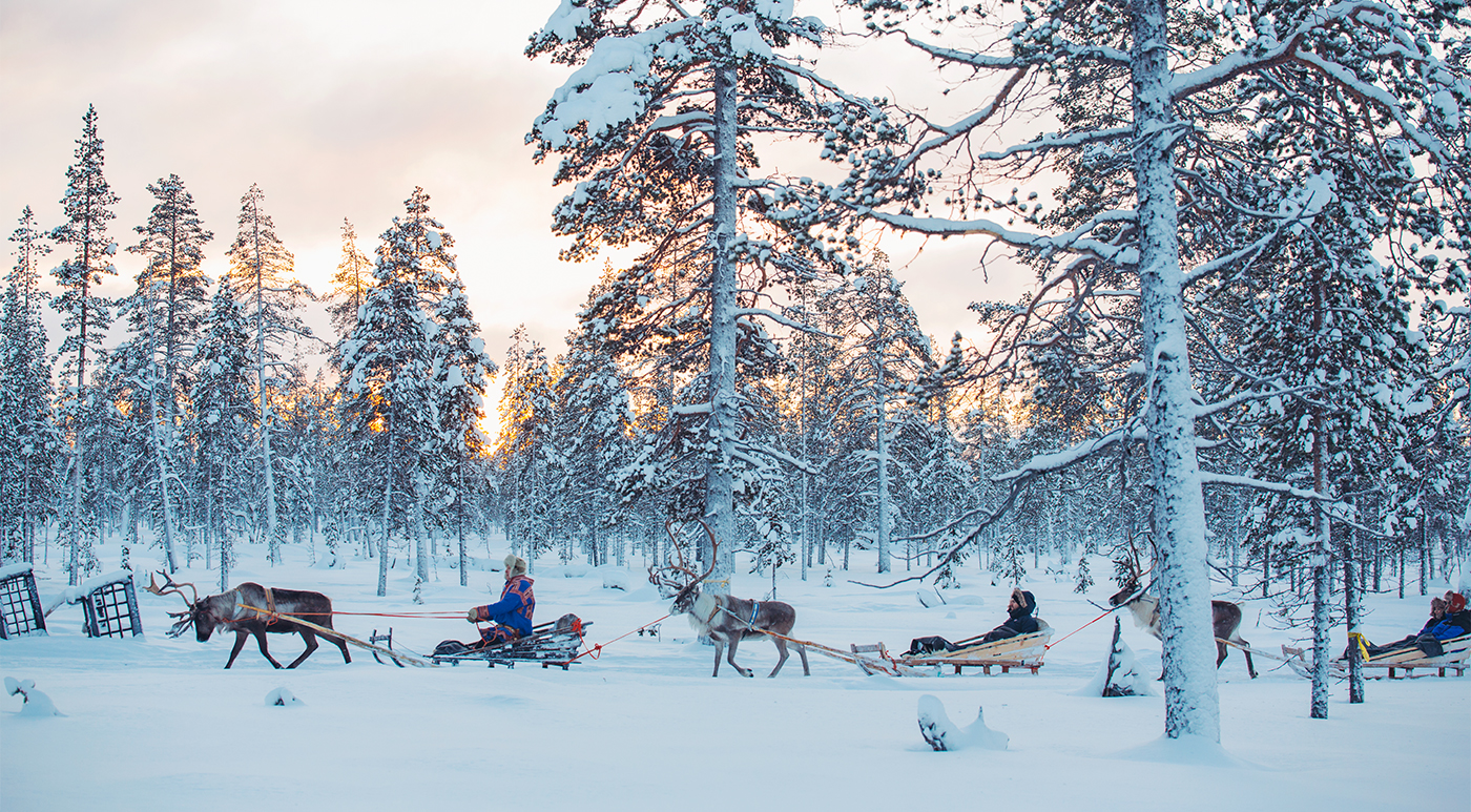 A reindeer safari is an ideal way to take in the wilderness while learning about local Sami culture.